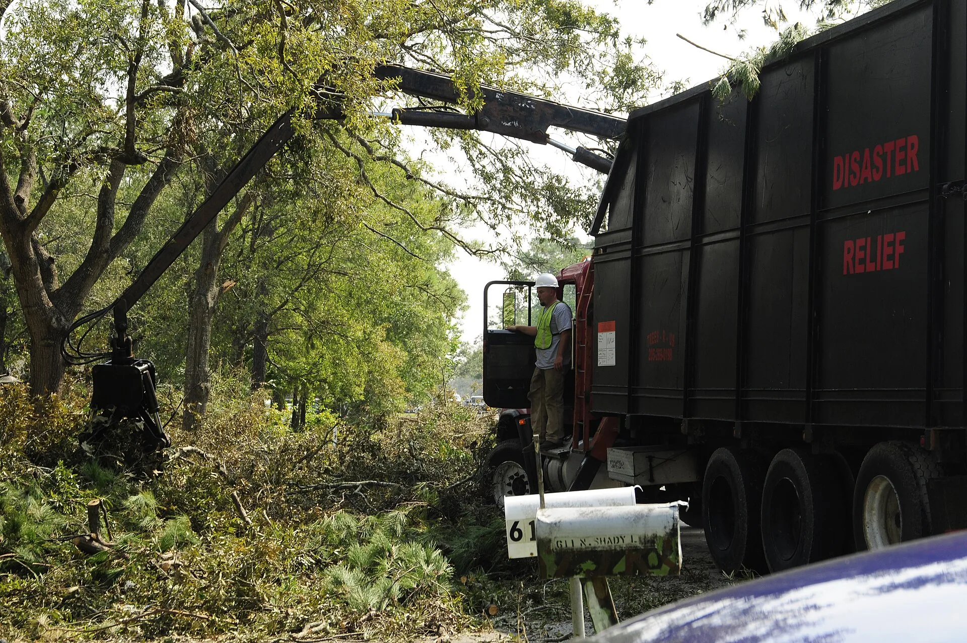 24/7 emergency tree response in Augusta Georgia