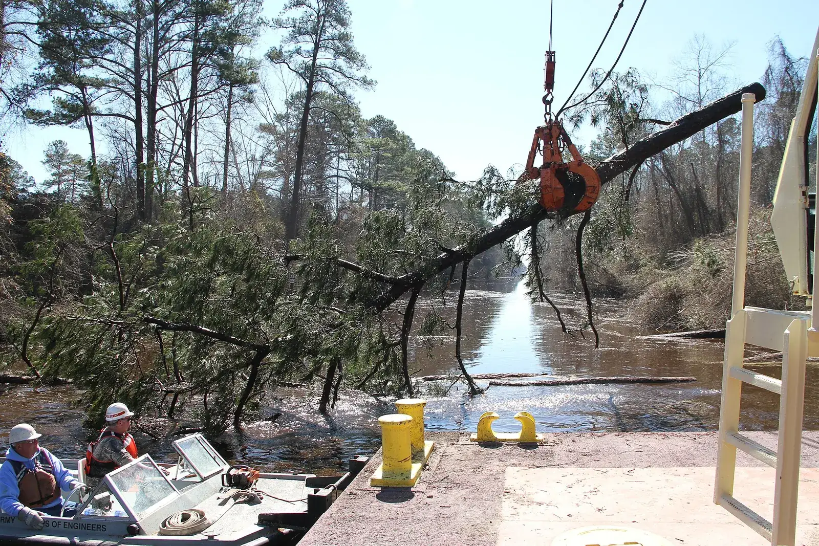 Crane lifting a fallen tree during storm cleanup