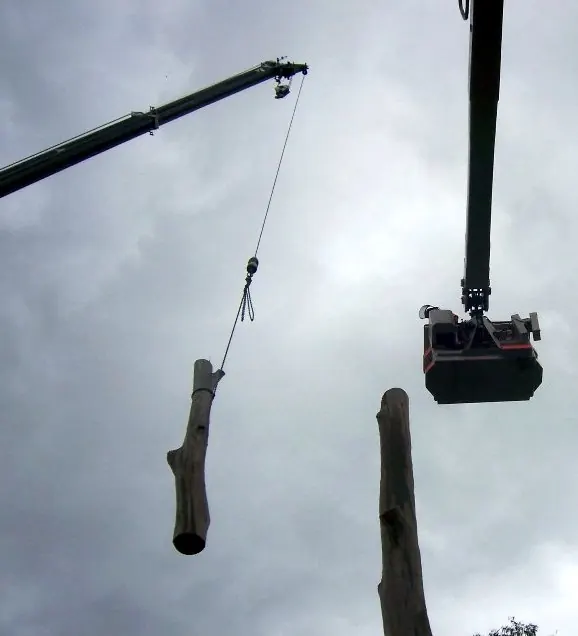 Crane boom lifting a cut trunk section during tree removal