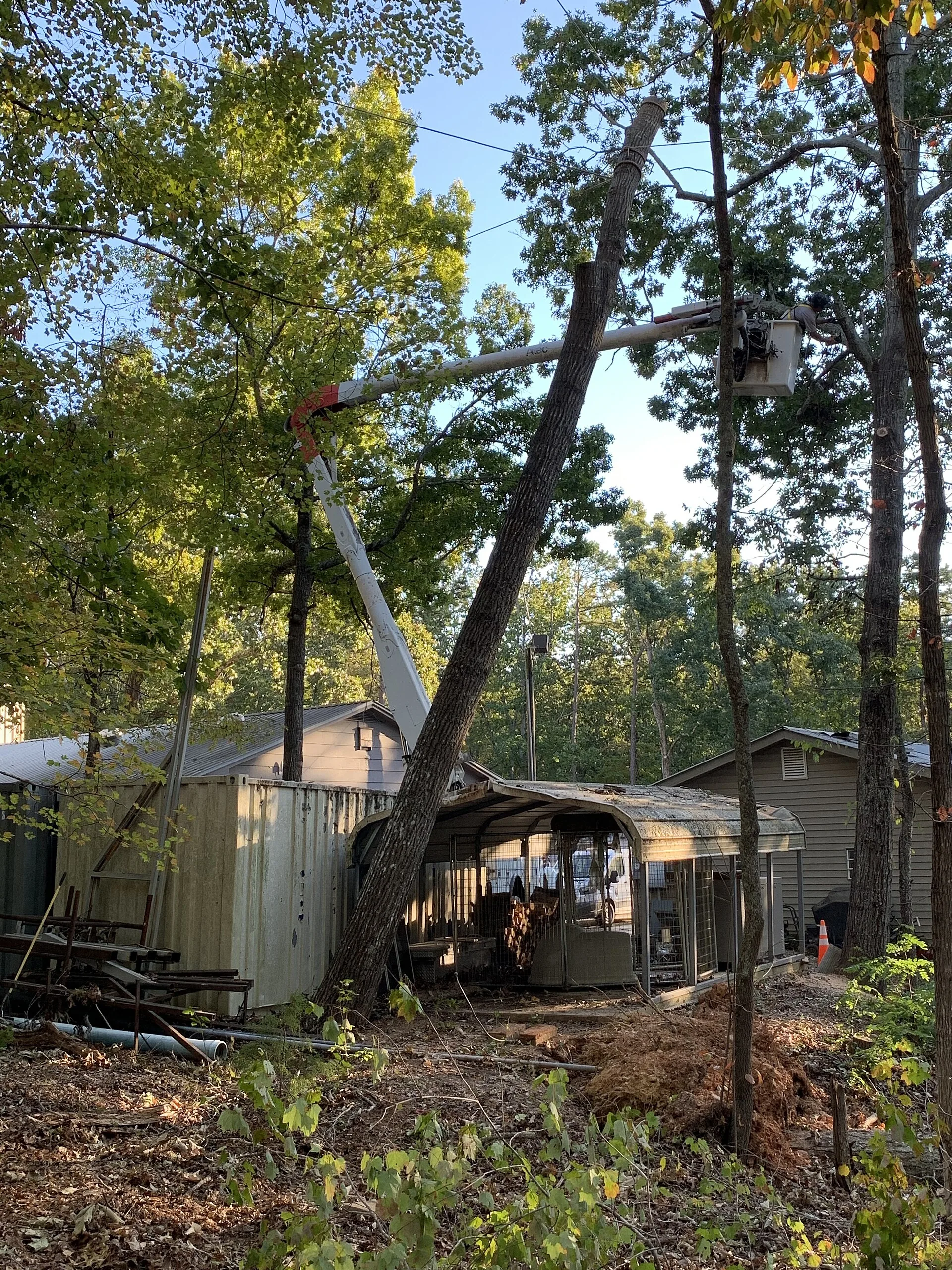 Crane equipment used for specialized tree removal