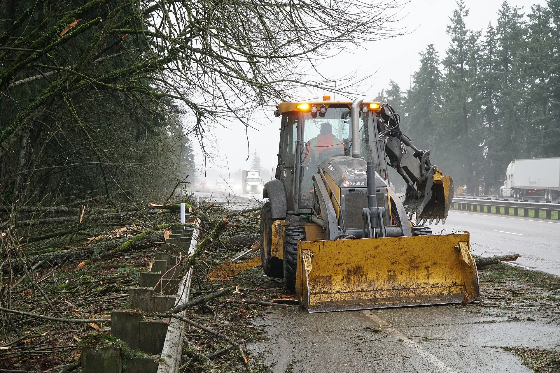 Emergency tree cleanup before and after
