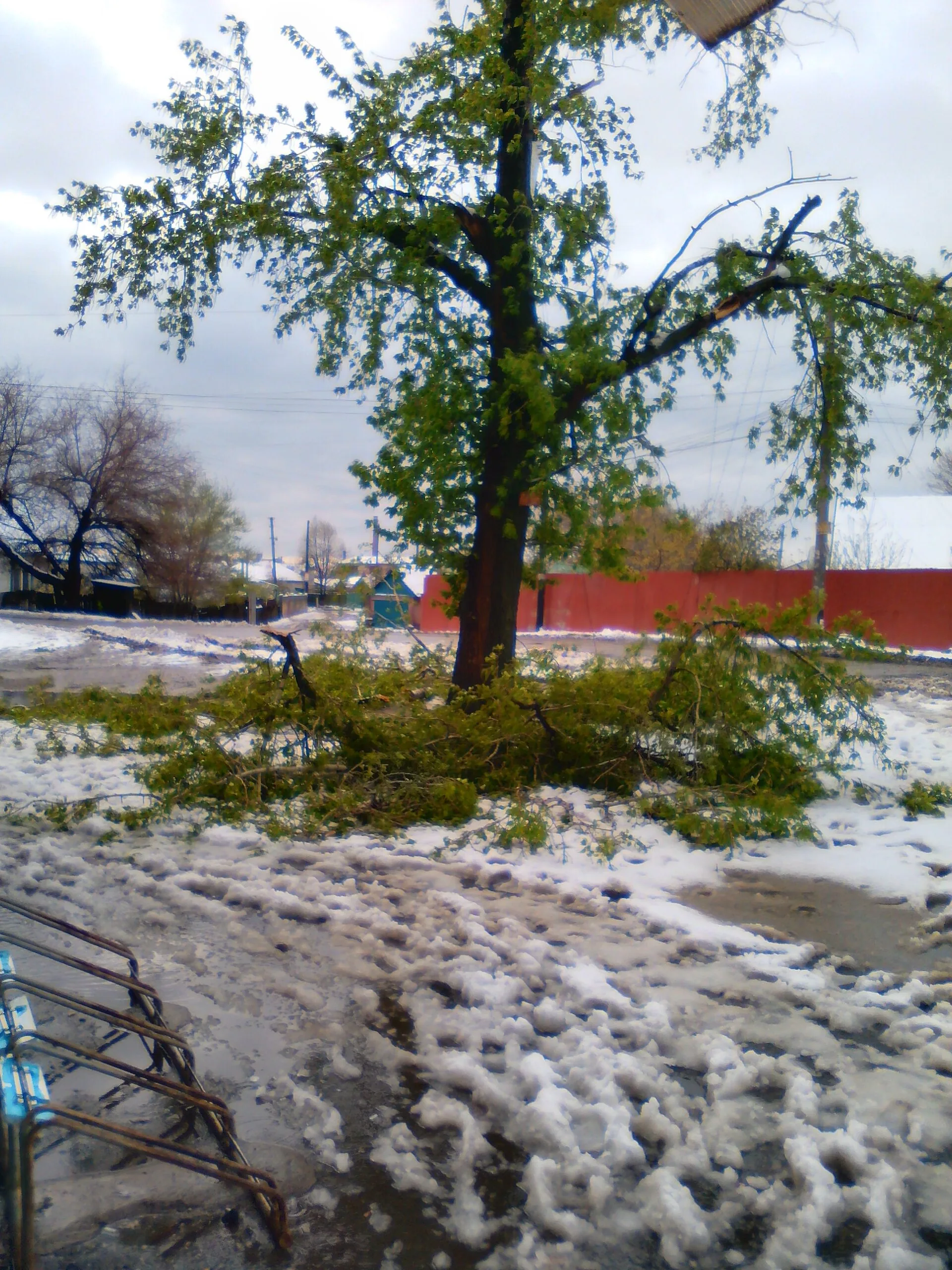 Hanging limb requiring emergency tree service in Augusta