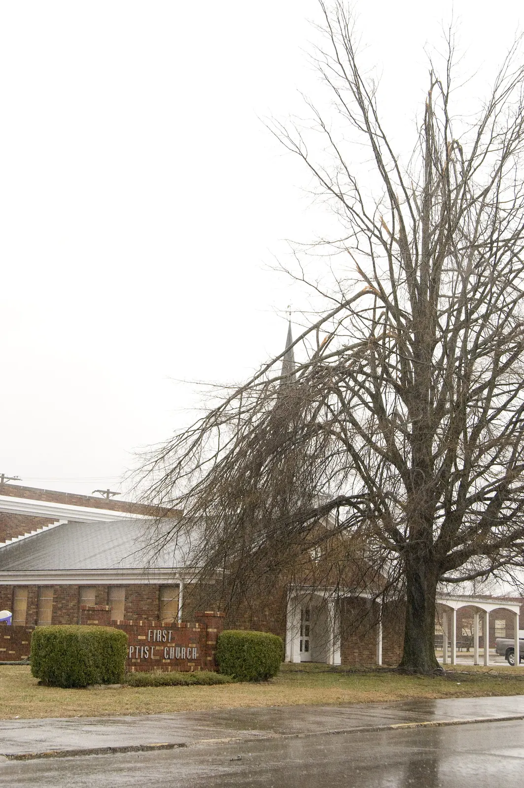 Storm-damaged tree with broken crown leaning against a building