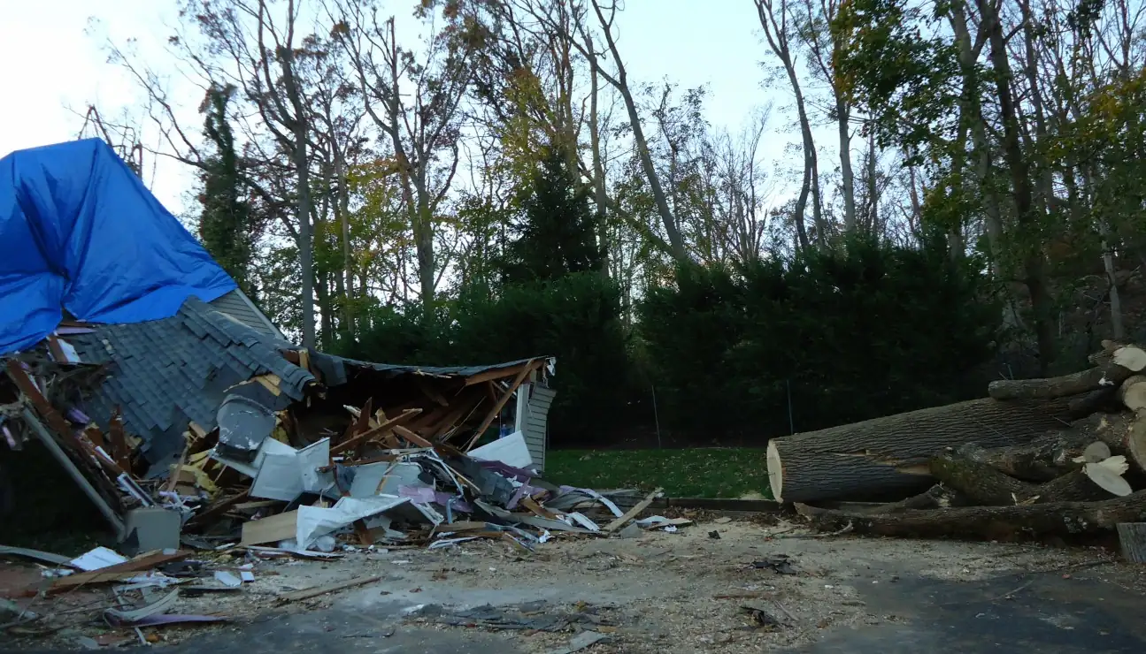 House demolished by a fallen tree after a storm