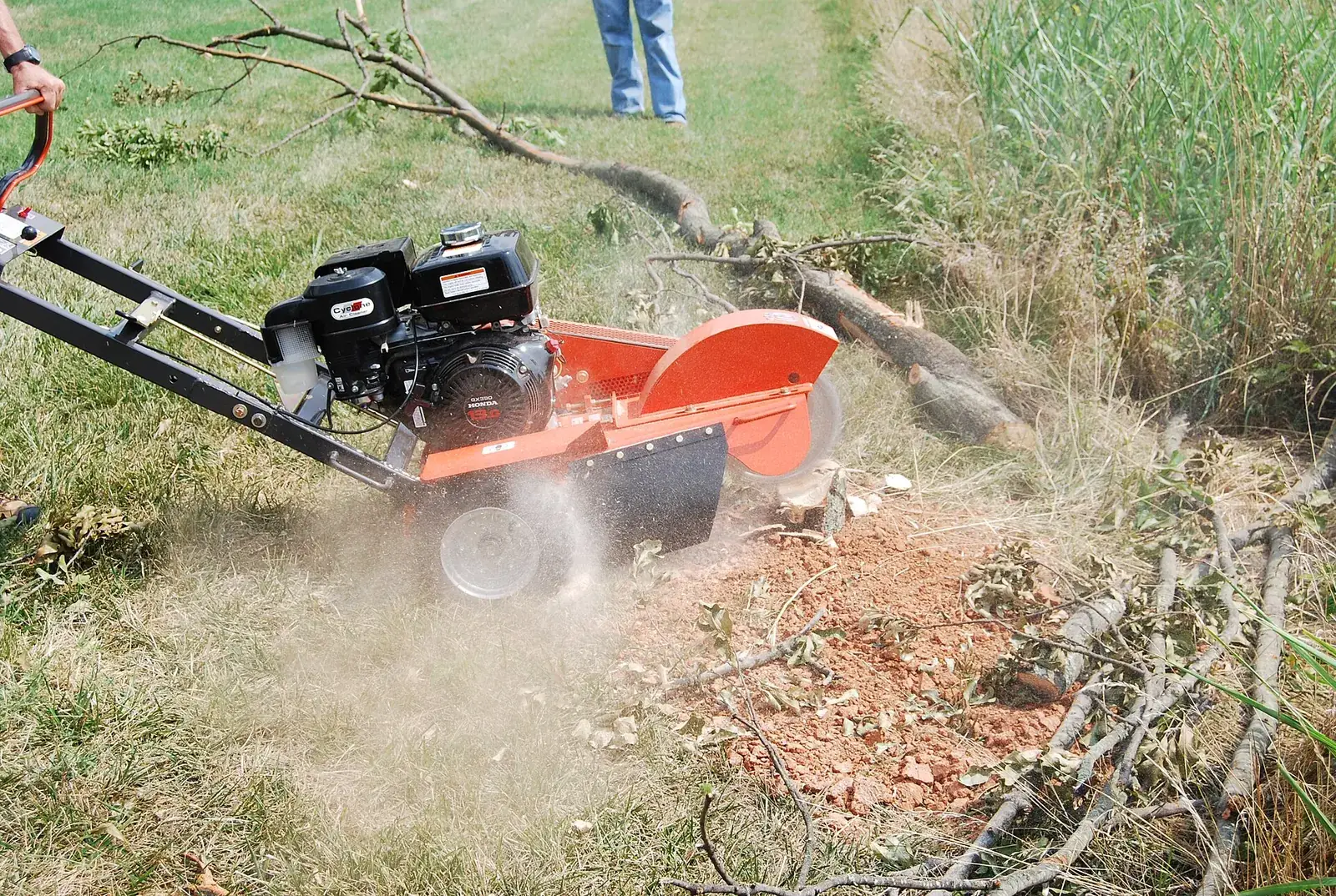 Stump grinder removing a stump after tree removal