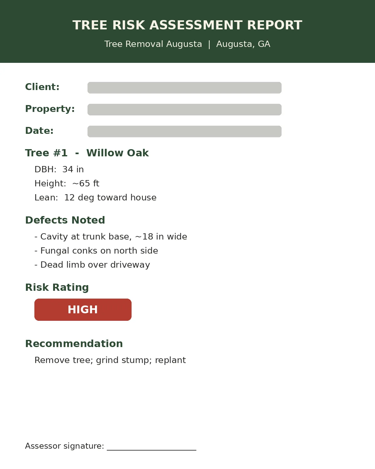 Sample tree risk assessment report