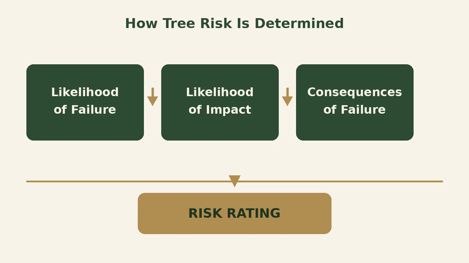 Tree risk rating factors infographic