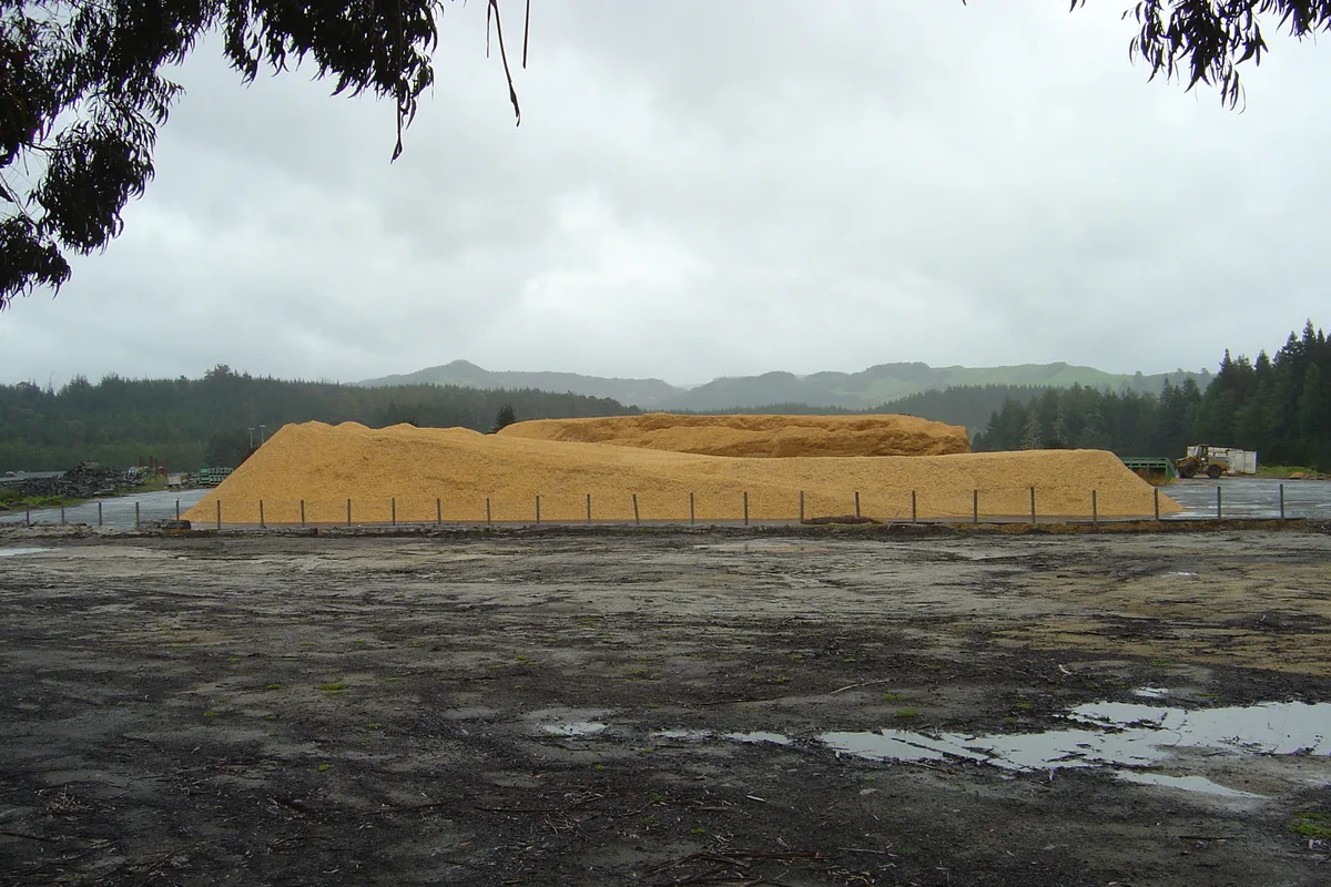 Wood chips created during stump grinding